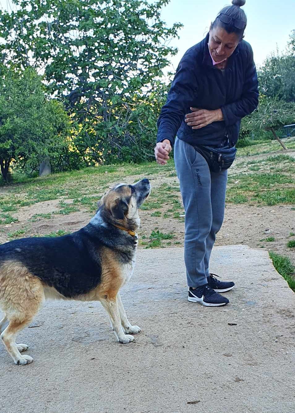 Chico mag  natürlich Leckerlies und lässt sich gern bestechen 